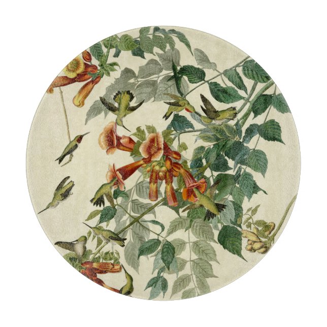 Hummingbird Ruby Throated Audubon Bird Cutting Board (Front)
