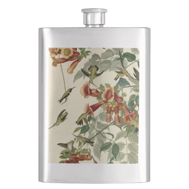 Hummingbird Ruby Throated Audubon Bird Hip Flask (Front)