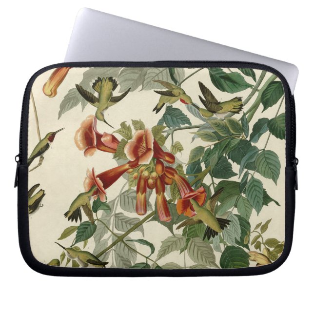Hummingbird Ruby Throated Audubon Bird Laptop Sleeve (Front)