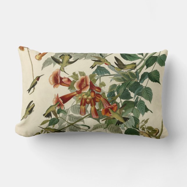 Hummingbird Ruby Throated Audubon Bird Lumbar Cushion (Front)