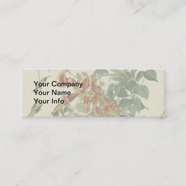 Hummingbird Ruby Throated Audubon Bird Mini Business Card (Front)