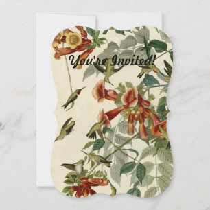 Hummingbird Ruby Throated Audubon Invitation