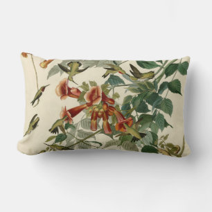 Hummingbird Ruby Throated Audubon Lumbar Cushion