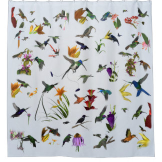 Hummingbird Shower (Blue) Shower Curtain