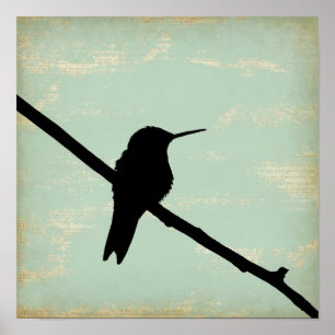 Hummingbird Silhouette on Blue Grunge Background Poster