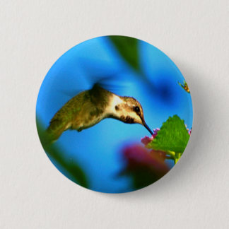Hummingbird Sipping 6 Cm Round Badge