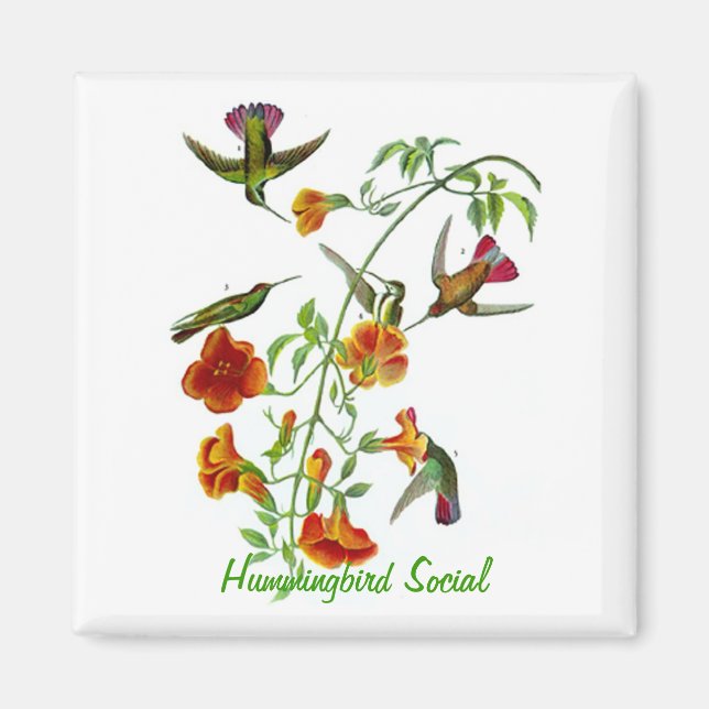 Hummingbird Social Magnet (Front)