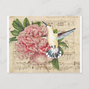 Hummingbird Song Postcard