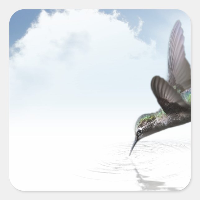 Hummingbird Square Sticker (Front)