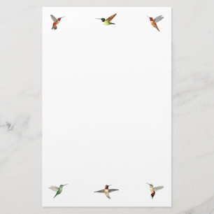 Hummingbird Stationery Paper