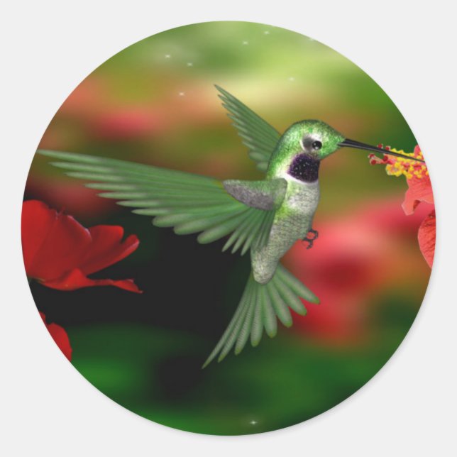 Hummingbird sticker (Front)