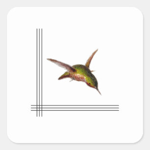 Hummingbird Sticker