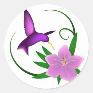 'Hummingbird'  stickers