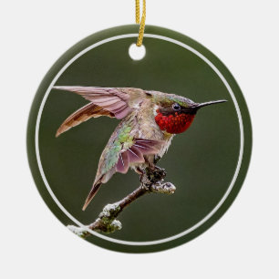 Hummingbird Stretches  Ceramic Ornament