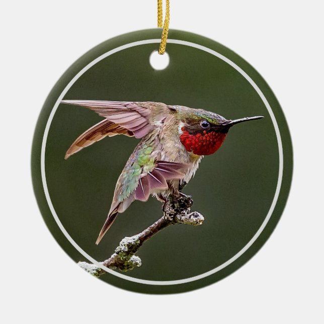 Hummingbird Stretches  Ceramic Ornament (Front)