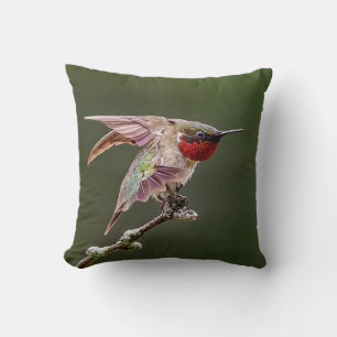 Hummingbird Stretches  Cushion