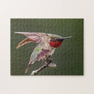 Hummingbird Stretches  Jigsaw Puzzle