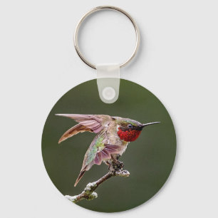 Hummingbird Stretches Key Ring