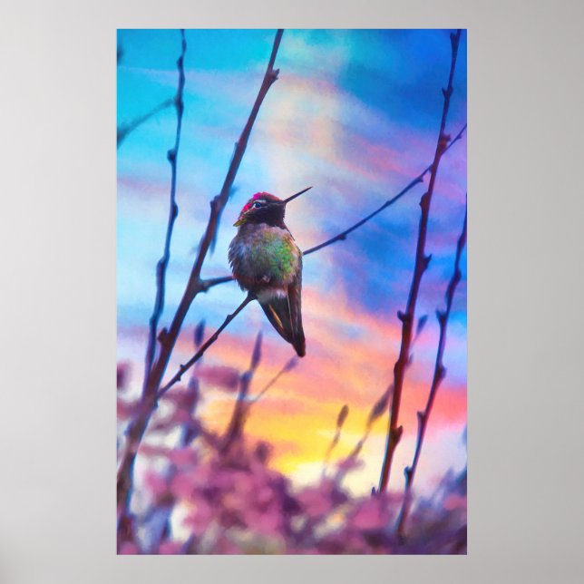HUMMINGBIRD SUNRISE GLORY POSTER (Front)