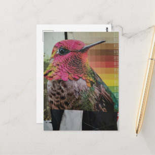 Hummingbird Surreal Collage Postcard