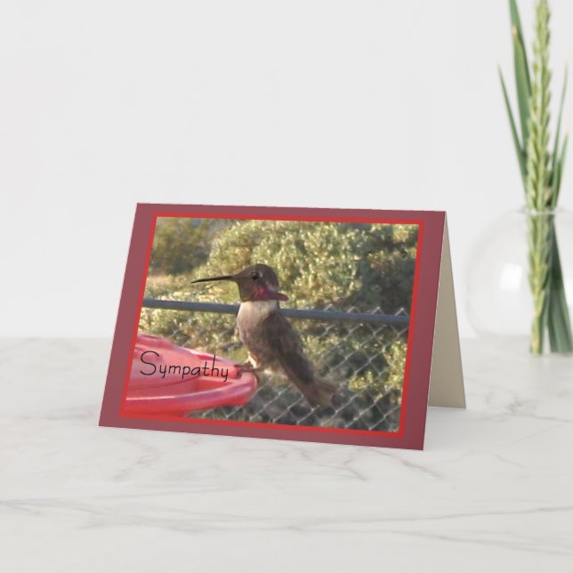 Hummingbird Sympathy Card for Anyone (Front)