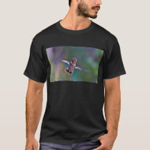 Hummingbird