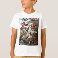 Hummingbird