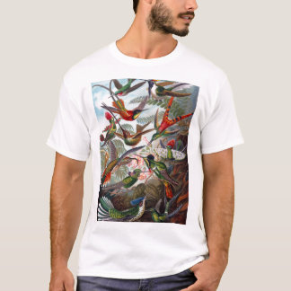 Hummingbird T-Shirt