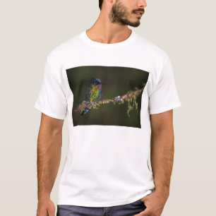Hummingbird T-Shirt