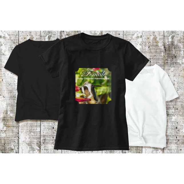 Hummingbird T-Shirt on Feeder (Creator Uploaded)