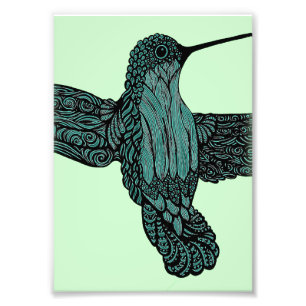 Hummingbird - Teal Photo Print