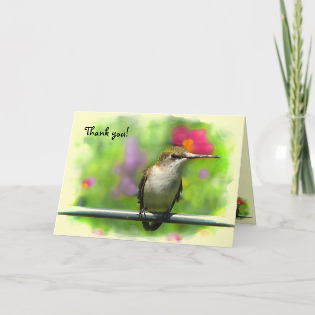 Hummingbird Thank You Card (Front)
