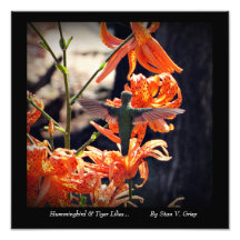 Hummingbird & Tiger Lilies Wall Art Print by Stan
