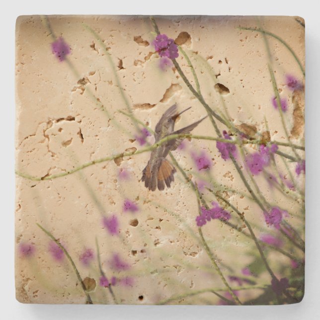 Hummingbird Travertine Coasters (Front)
