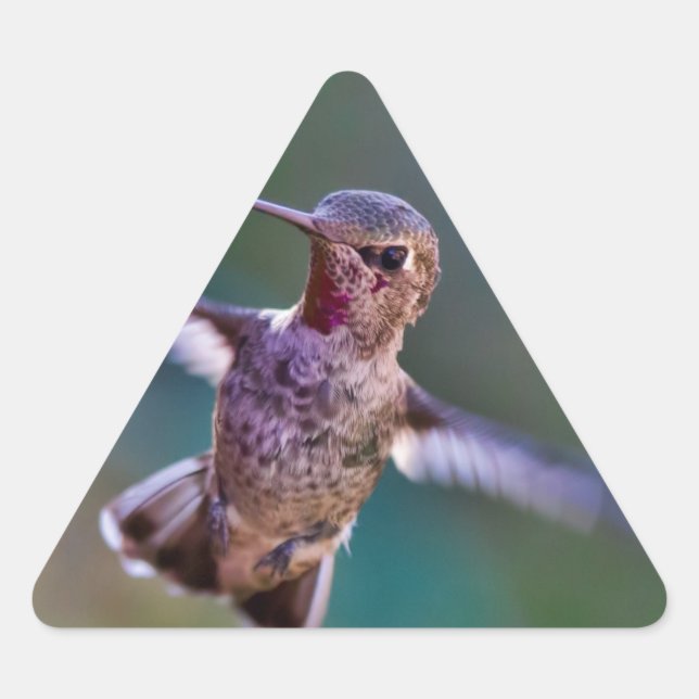 Hummingbird Triangle Sticker (Front)