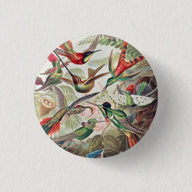 Hummingbird, Trochilidae Kolibris by Ernst Haeckel 3 Cm Round Badge (Front)