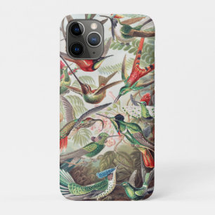 Hummingbird, Trochilidae Kolibris by Ernst Haeckel iPhone 11 Pro Case