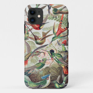 Hummingbird, Trochilidae Kolibris by Ernst Haeckel iPhone 11 Case