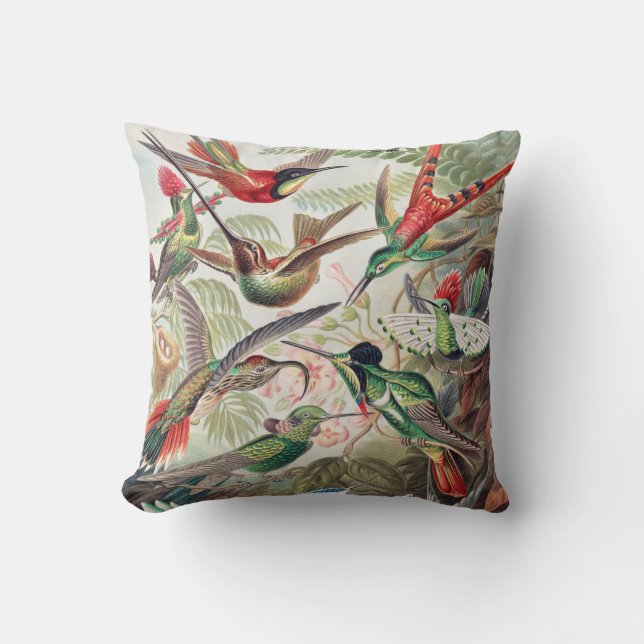 Hummingbird, Trochilidae Kolibris by Ernst Haeckel Cushion (Front)