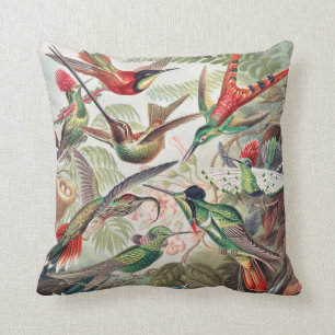 Hummingbird, Trochilidae Kolibris by Ernst Haeckel Cushion
