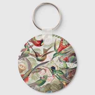 Hummingbird, Trochilidae Kolibris by Ernst Haeckel Key Ring