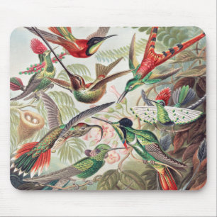 Hummingbird, Trochilidae Kolibris by Ernst Haeckel Mouse Pad
