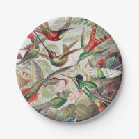 Hummingbird, Trochilidae Kolibris by Ernst Haeckel