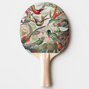 Hummingbird, Trochilidae Kolibris by Ernst Haeckel Ping Pong Paddle