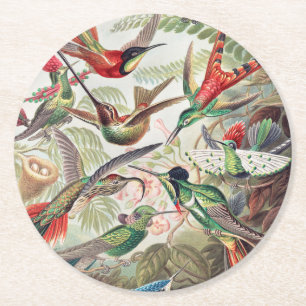 Hummingbird, Trochilidae Kolibris by Ernst Haeckel Round Paper Coaster