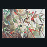 Hummingbird, Trochilidae Kolibris by Ernst Haeckel Wrapping Paper Sheet<br><div class="desc">Hummingbird,  Trochilidae Kolibris by Ernst Haeckel Wrapping Paper Sheet</div>