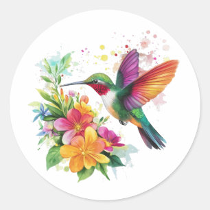 Hummingbird Tropical Flowers Classic Round Sticker