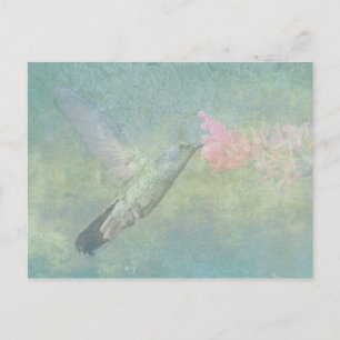 Hummingbird Tune Postcard