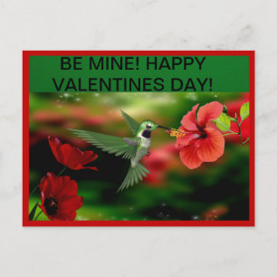 Hummingbird Valentines Day Post Card