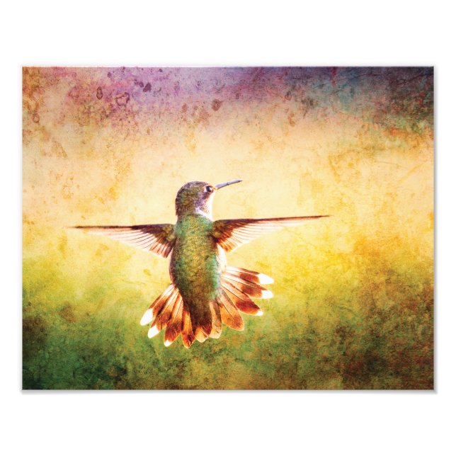 Hummingbird Wall Art Print  (Front)